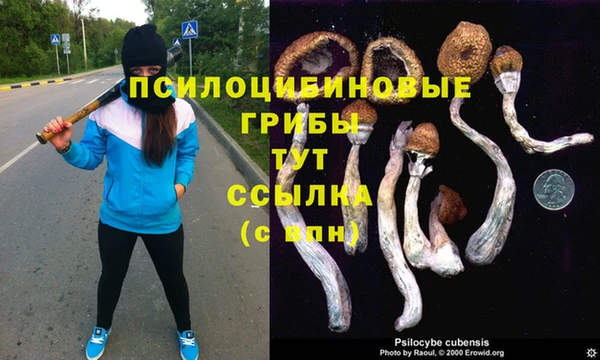 крисы Алексин