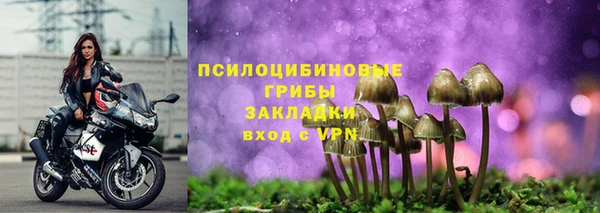 крисы Алексин
