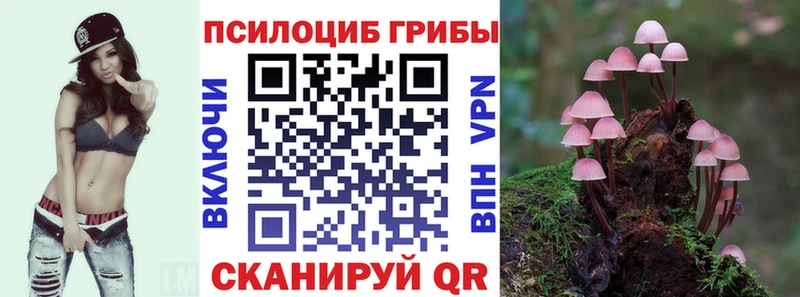 Псилоцибиновые грибы Magic Shrooms  Анадырь 